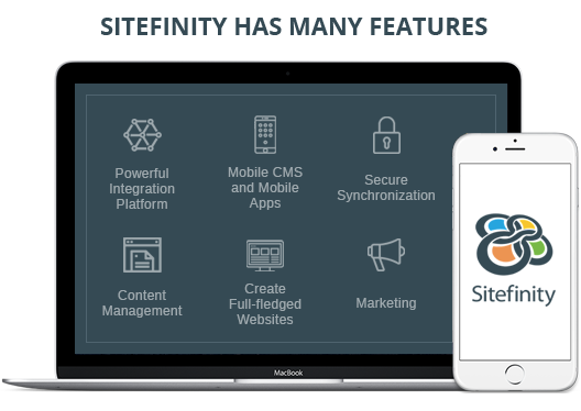 sitefinity-development-services